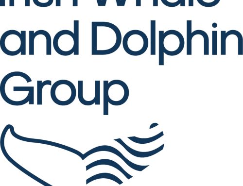 Irish Whale and Dolphin Group