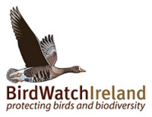Birdwatch Ireland – West Cork