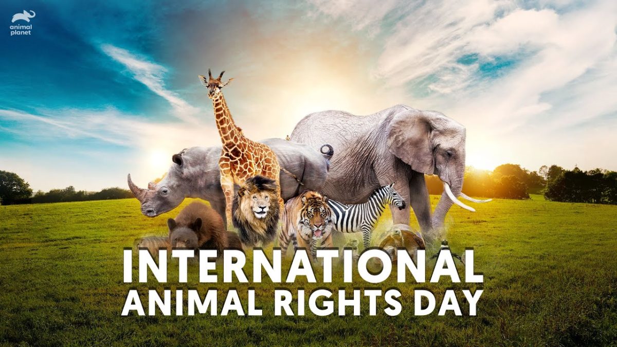 International Animal Rights Day len
